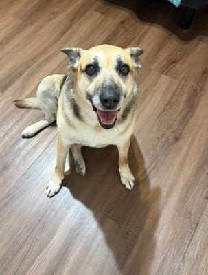 photo of Anette Bravo