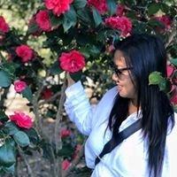 Photo of Ann Thu T.
