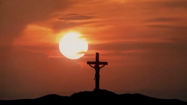 photo of Wolverine J.