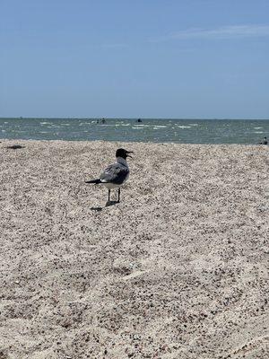 photo of Christie H.