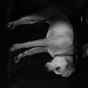 Photo of Patterson H.