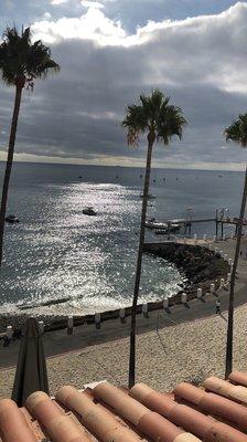 photo of Veronica L.