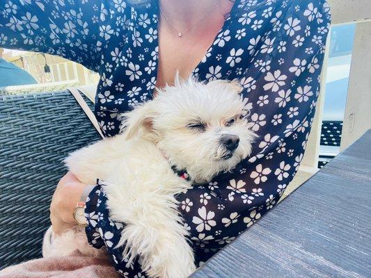 photo of Madeleine M.