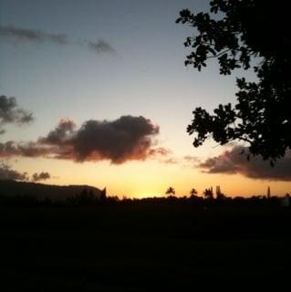 photo of Jennifer L.