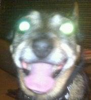 Photo of Zak P.