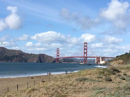 photo of Mushroom K.