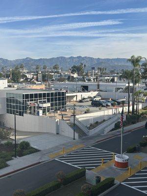 photo of Anonymous A.