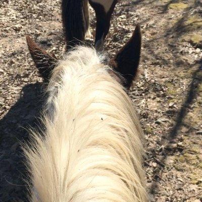 Photo of Stephanie G.