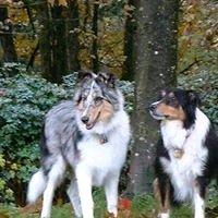 photo of Katty Hollyweird P.