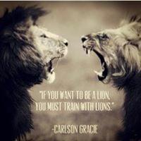 Photo of Tommy Boy M.