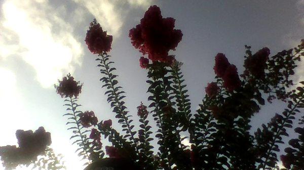 photo of Jennifer M.