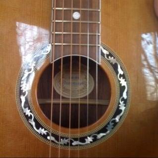 photo of LaFollette B.