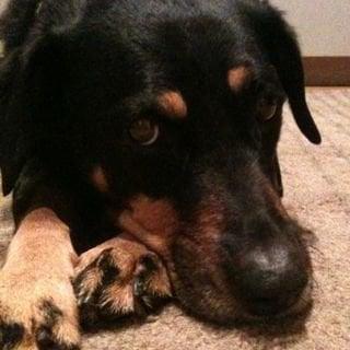 photo of Leigh Ann E.