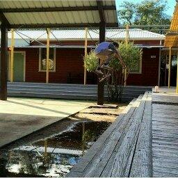 Photo of Skatesharkclark C.