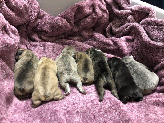 photo of Jorganne G.