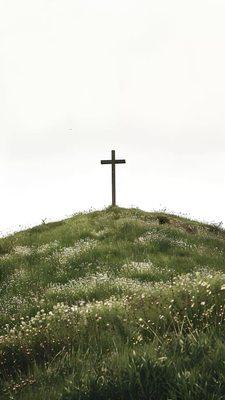 photo of Samantha G.