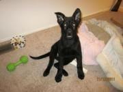 photo of Alexander M.