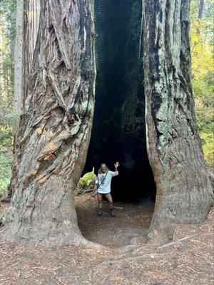 photo of Patricia D.