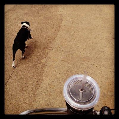 Photo of Biff X.