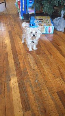 photo of Danielle S.