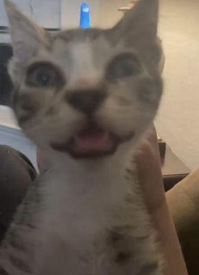 photo of Jose Yopihua