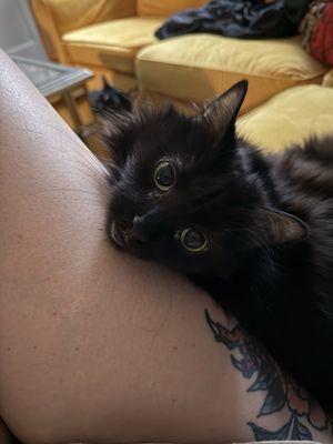 Photo of Alexandra B.