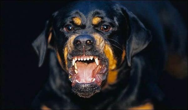 photo of Skeet Solis S.