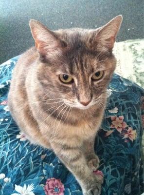 photo of Mary Ann B.