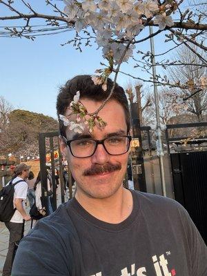 Photo of Sean C.