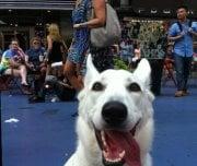 photo of Nathaniel A.