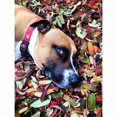 Photo of Michelle S.