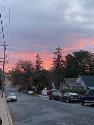 photo of Giulianna D.