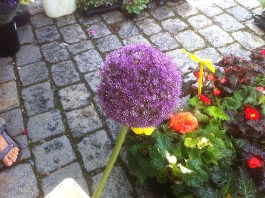 photo of Michelle F.