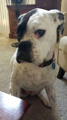 Photo of Christina D.