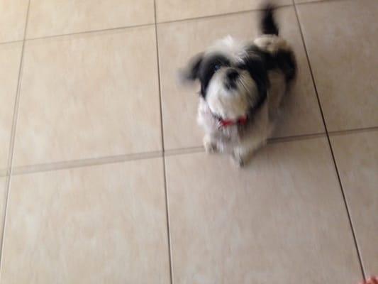 photo of Xeniamaria R.