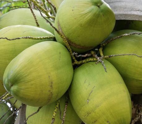 photo of Ochoatravels O.