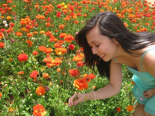 Photo of Huyen N.