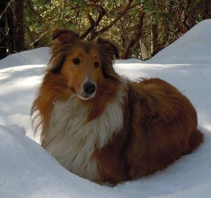 Photo of Kristie S.