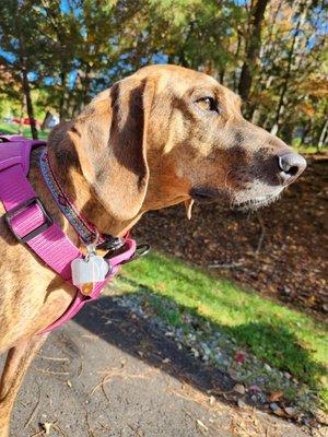 photo of Jennifer K.