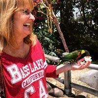 Photo of Debi W.