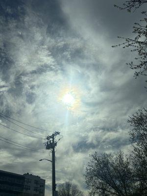 Photo of Karina M.