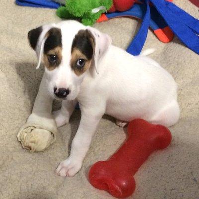 Photo of Kristina S.