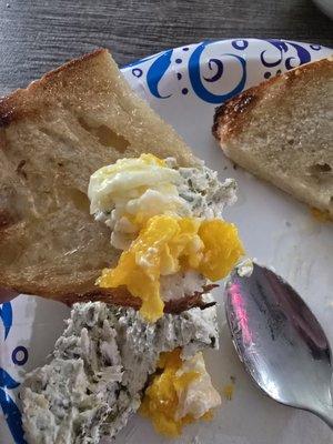 photo of Elizabeth F.