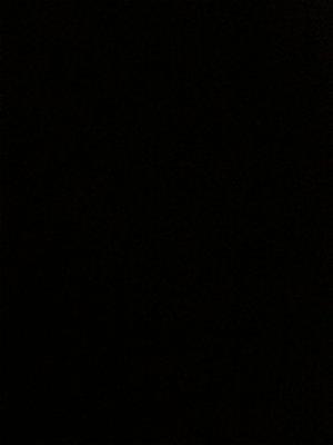 Photo of Nicolette H.
