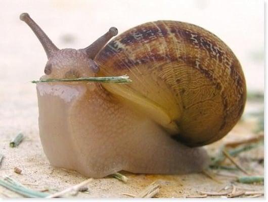 Photo of B D.