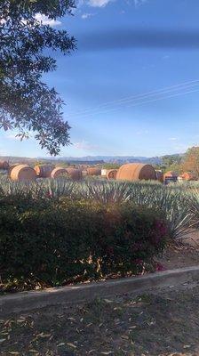 photo of Christopher S.