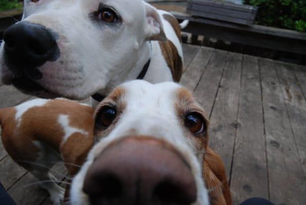 Photo of And e.