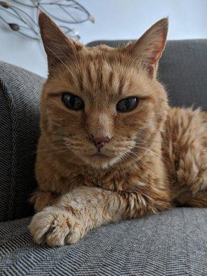 photo of Victoria R.