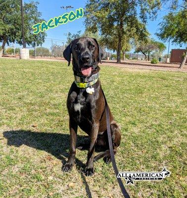 photo of Patricia S.