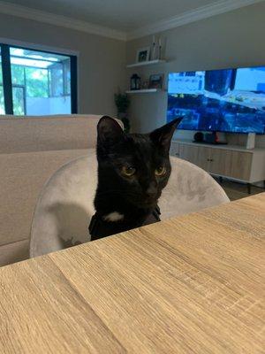 photo of Patricia G.